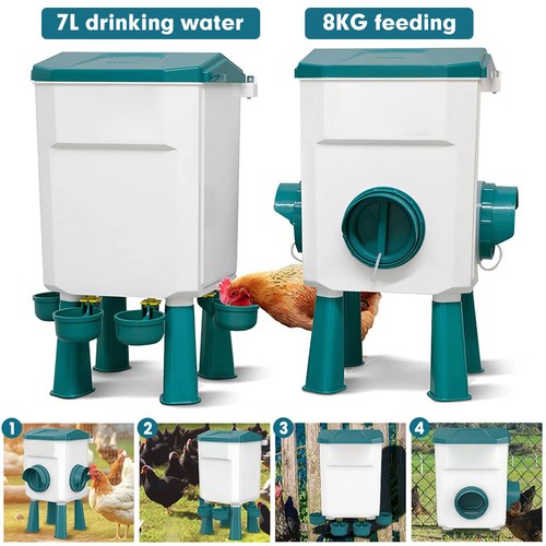 Chicken poultry feeder - chicken,