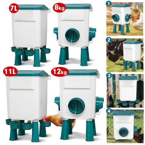 Chicken poultry feeder drinker - feeder,
