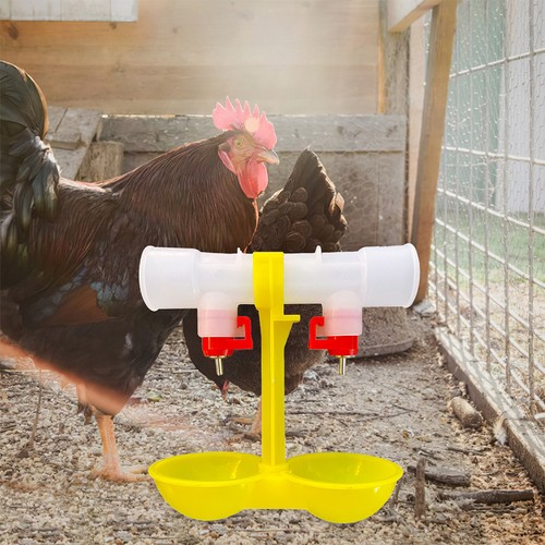 10pcs automatic poultry - 10pcs,