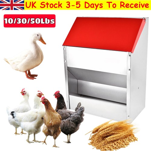 Galvanized steel chicken - galvanized,