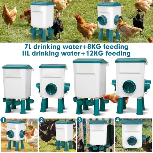 Chicken poultry feeder - poultry,