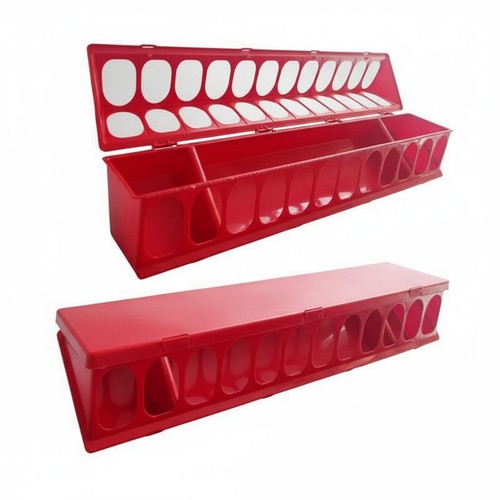 Chicken feeder spill - chicken,