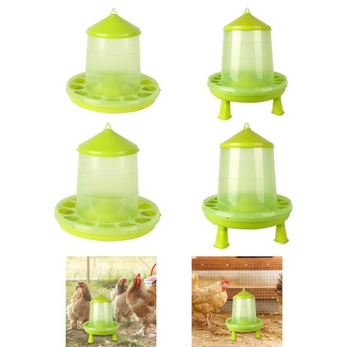 Chicken feeder food - feeder,