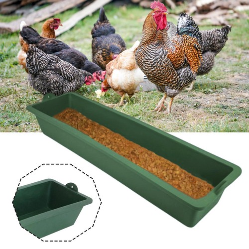 Trough hanging chicken feeder - chicken,