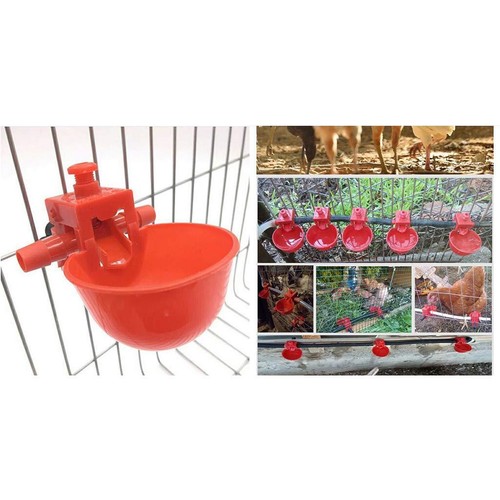 20pcs poultry chicken - 20pcs,