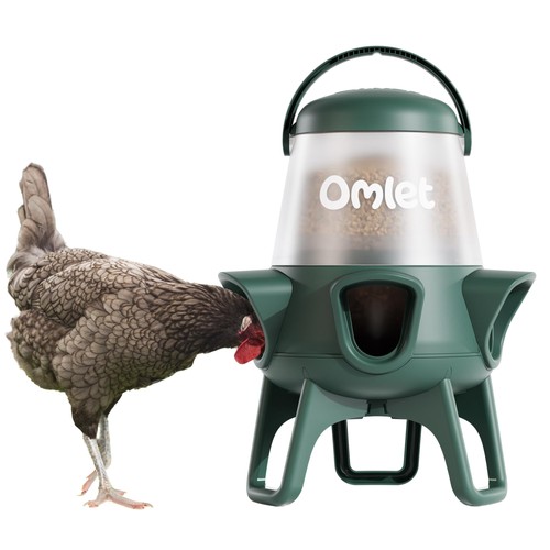 Omlet waste chicken - omlet,