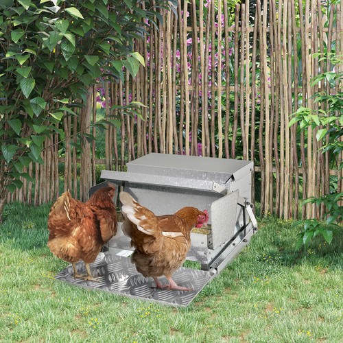 5kg automatic chicken - 11.5kg,