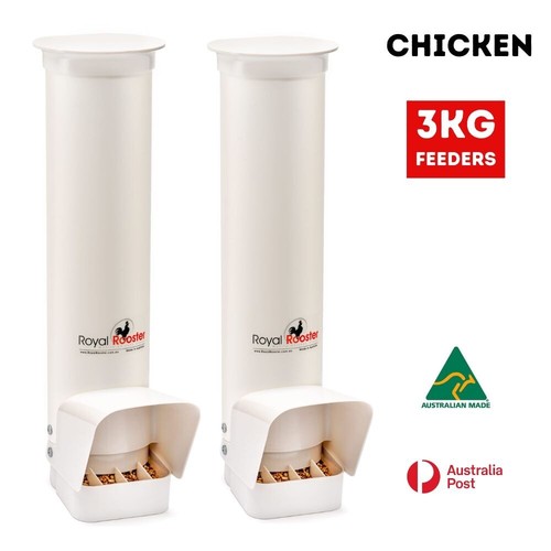 Royal rooster chicken - rooster,
