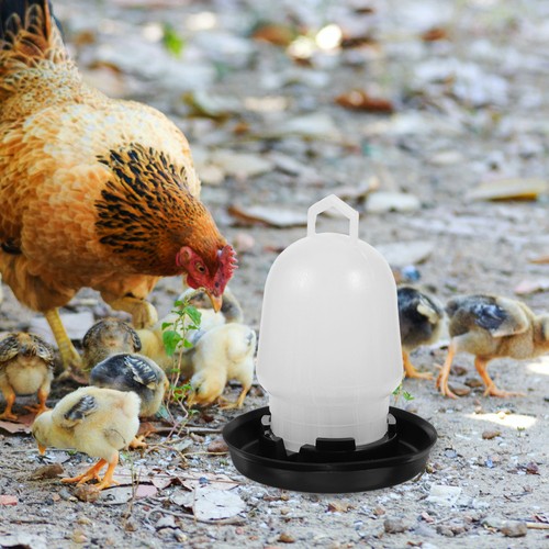 White chicken water feeder - white,