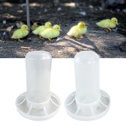Automatic chicken feeder birds - chicken,
