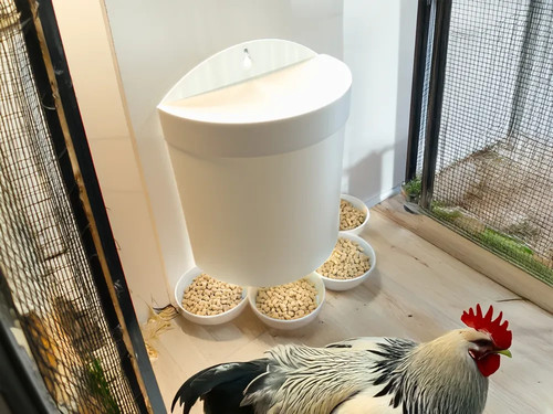 Wall mounted chicken - mounted,
