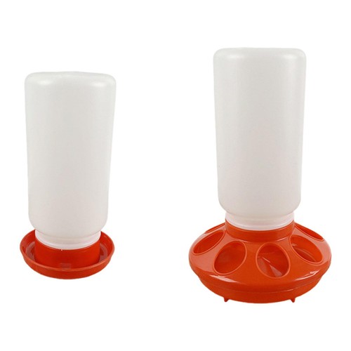 Chicken feeder and - chicken,