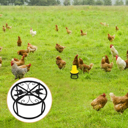 Iron chicken feeder and - feeder,