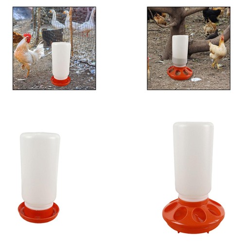Feeder and waterer - feeder, for