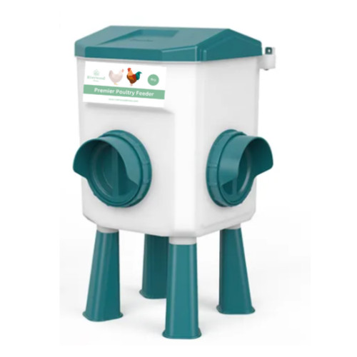 Chicken poultry feeder - chicken,