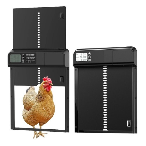 Automatic chicken coop door - coop,