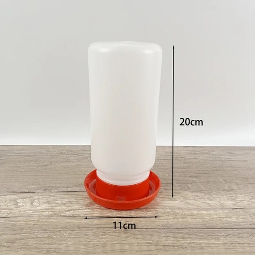 Chicken water dispenser - chicken,