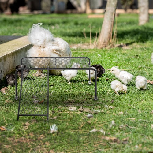 Durable chicken coop - chicken,