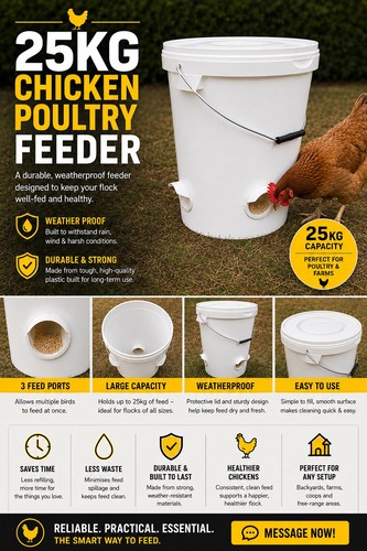 Chicken poultry feeder - chicken,