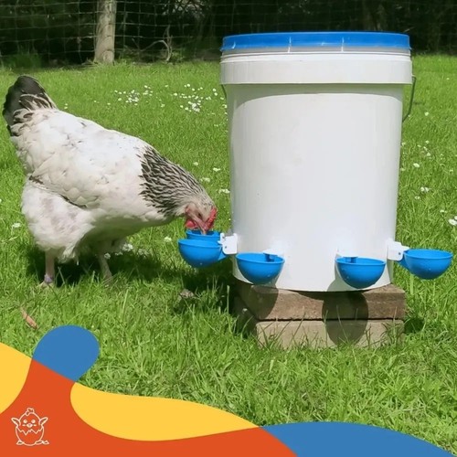 Pcs automatic poultry water - 5,