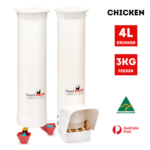 Royal rooster chicken - royal,