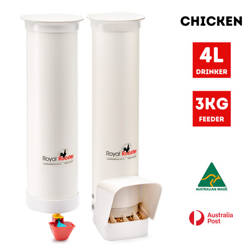 Royal rooster chicken - rooster,
