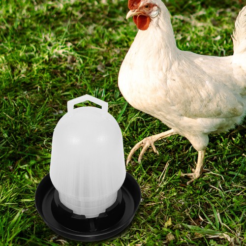 Reusable plastic chicken - reusable,