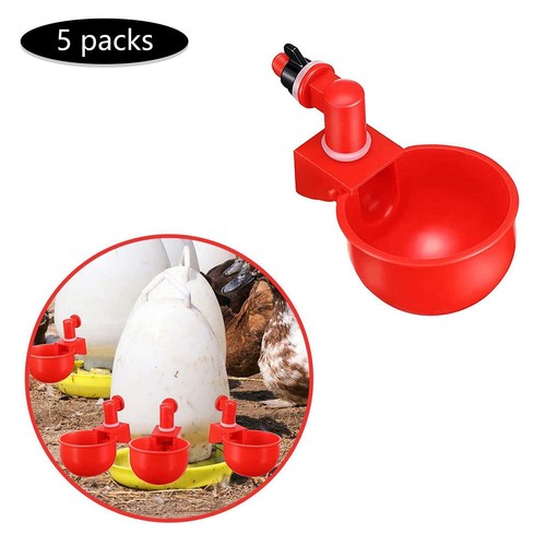 Chicken poultry water - 5x,