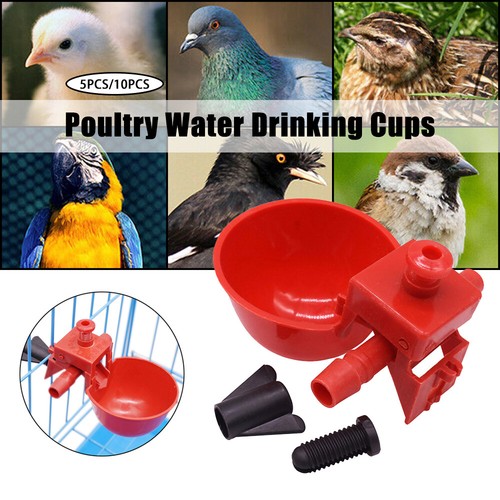 10pcs chicken poultry water - chicken,