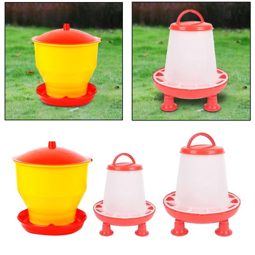 Chicken feeder outdoor - chicken,