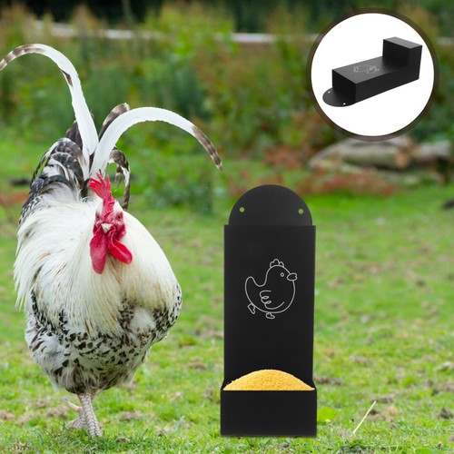 Chicken coop accessories - chicken,