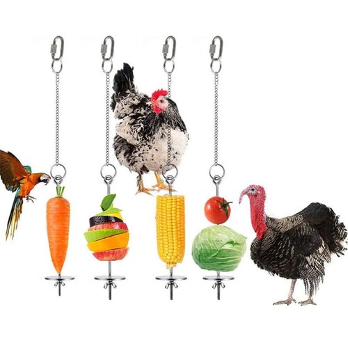 Chicken veggies skewer fruit - veggies,