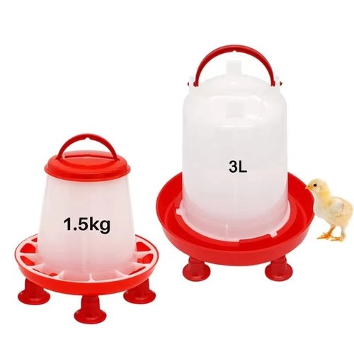 Chicken poultry feeder drinker - chicken,