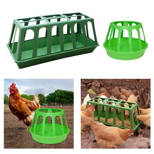 Feeder chicken trough - chicken,