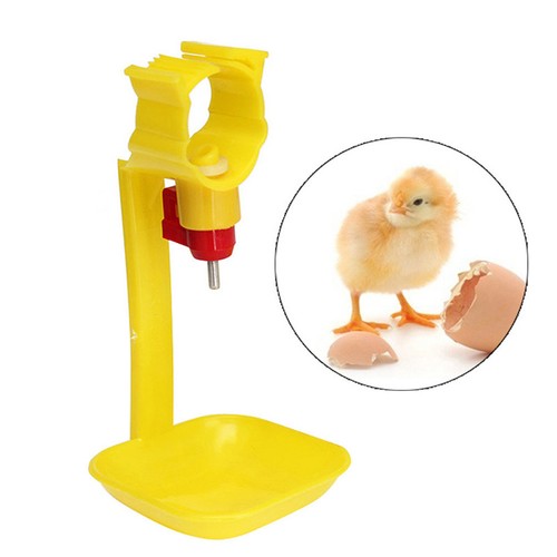 Pcs chicken water - water, feeder