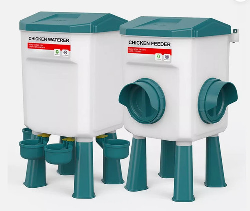 Chicken poultry feeder - chicken,
