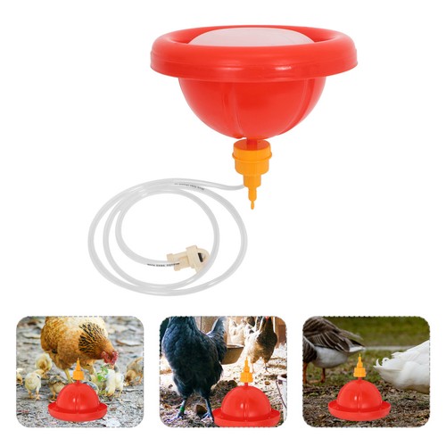 Poultry watering cups - poultry, chick