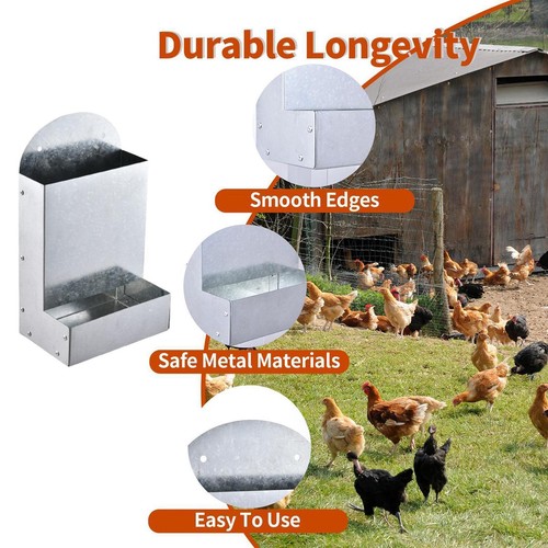Chicken feeder coop - feeder,