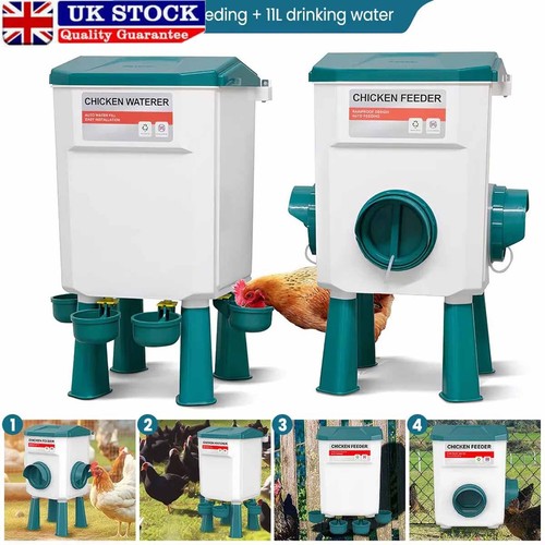 Chicken poultry feeder drinker - feeder,