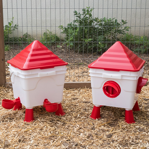 Kct raised chicken feeder - raised,